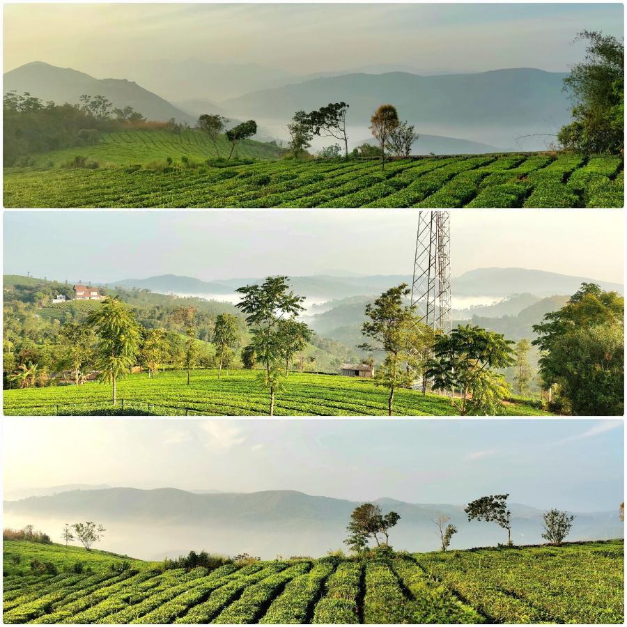 Cloud Canopy - Tea Garden Family Pool Cottage In Vagamon Buitenkant foto
