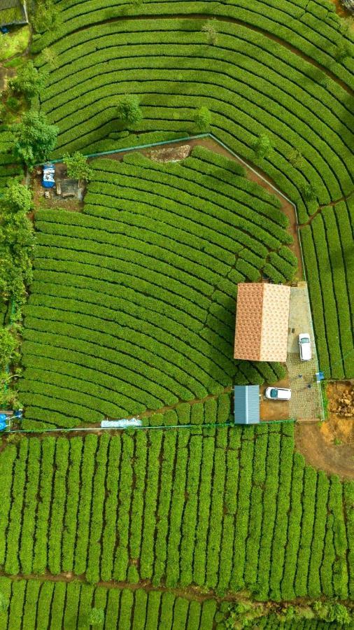 Cloud Canopy - Tea Garden Family Pool Cottage In Vagamon Buitenkant foto