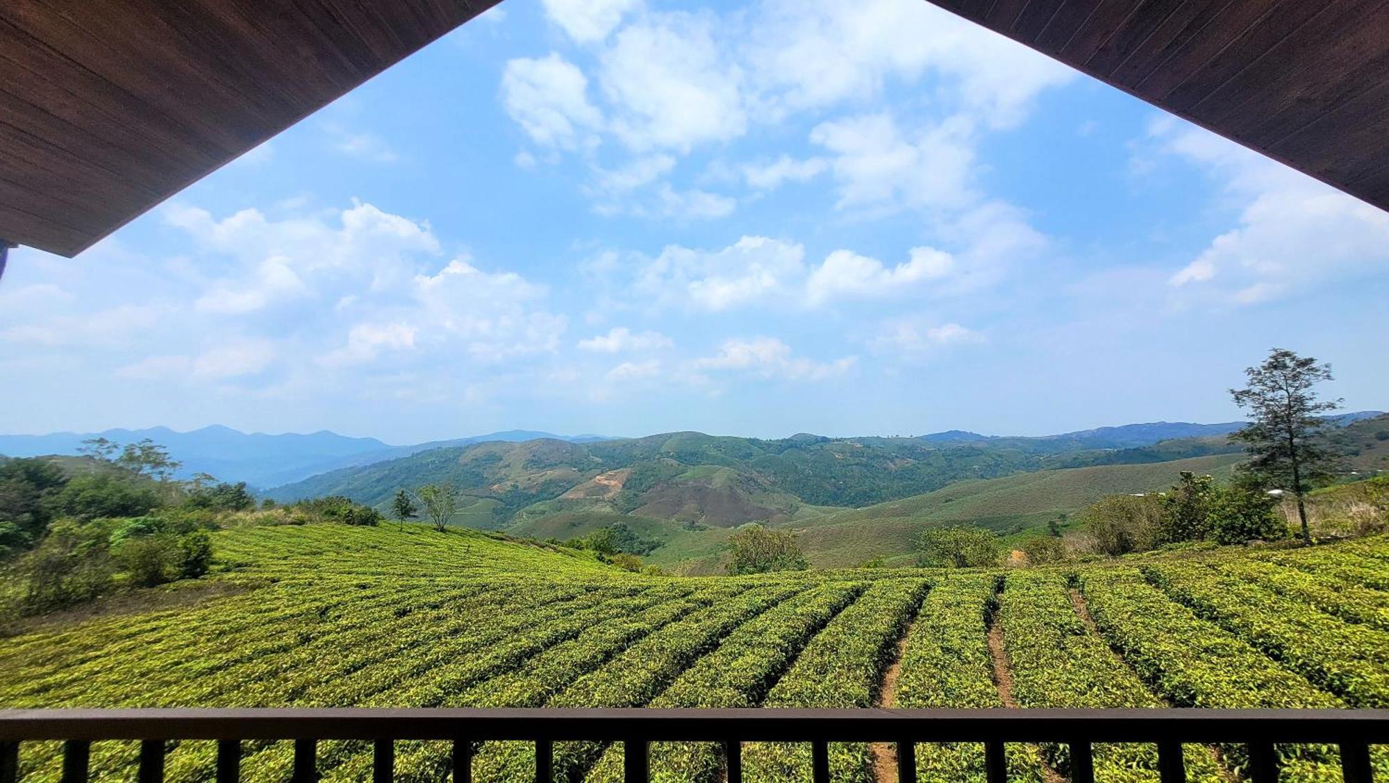 Cloud Canopy - Tea Garden Family Pool Cottage In Vagamon Buitenkant foto
